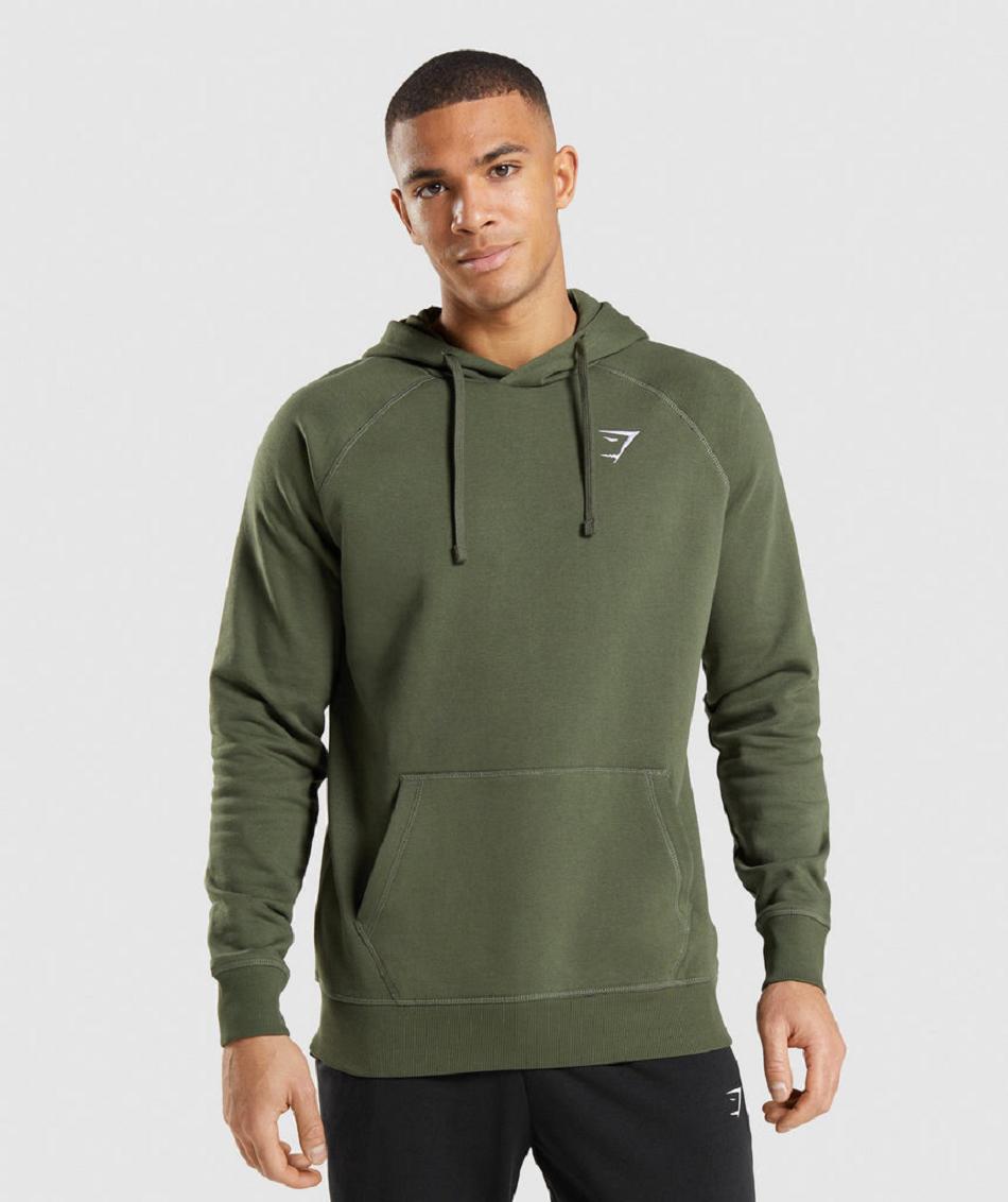 Bluzy Z Kapturem Męskie Gymshark Crest Oliwkowe | PL 3570XYU